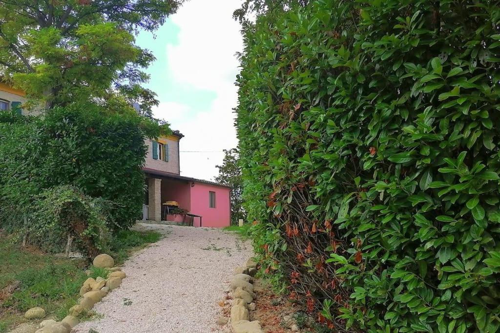 Casale San Teodoro - Mondaino Rn Villa ภายนอก รูปภาพ